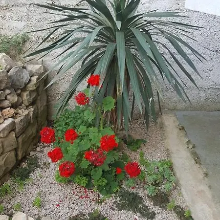 Apartment Dragica D Biograd Na Moru